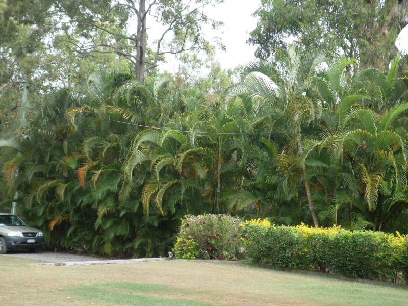 37 KARDINIA STREET, Macleay Island QLD 4184
