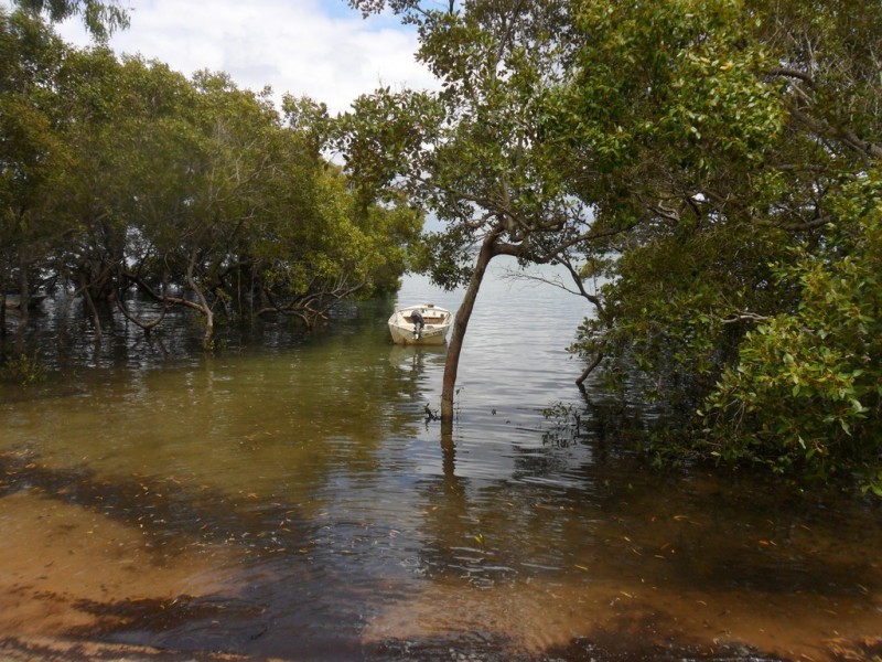 17 Orana Street, Macleay Island QLD 4184