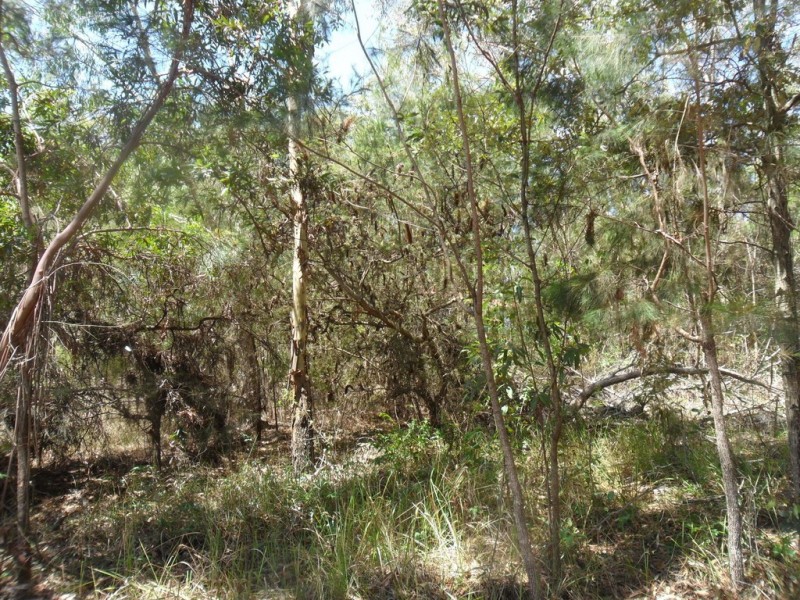 12 Kardinia Street, Macleay Island QLD 4184