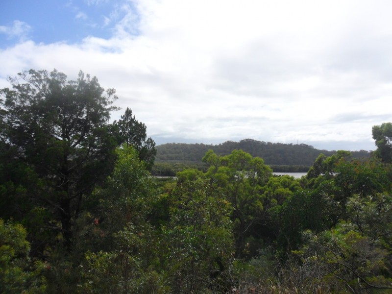 31 Patterson Street, Russell Island QLD 4184