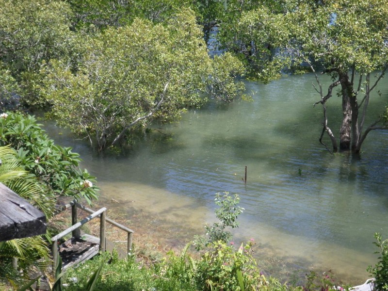 39 COONDOOROOPA  DRIVE, Macleay Island QLD 4184