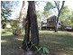 36 BLUE BAY CRESCENT, Macleay Island QLD 4184