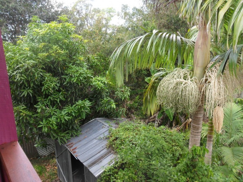 16 Hastings Terrace, Macleay Island QLD 4184