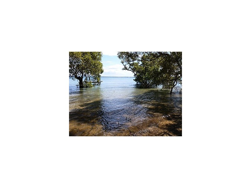 41 ATTUNGA STREET, Macleay Island QLD 4184
