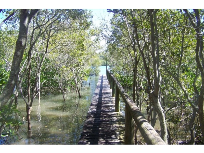 59 PIER HAVEN, Lamb Island QLD 4184