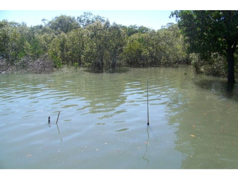 59 PIER HAVEN, Lamb Island QLD 4184