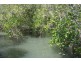 59 PIER HAVEN, Lamb Island QLD 4184