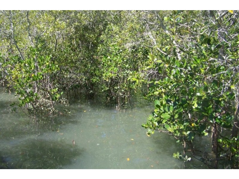 59 PIER HAVEN, Lamb Island QLD 4184