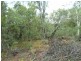 20 BARACOOTA STREET, Macleay Island QLD 4184