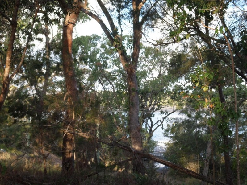43 ORION STREET, Macleay Island QLD 4184