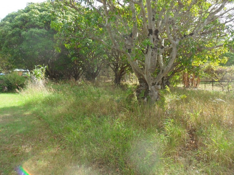 7 Zelma Court, Macleay Island QLD 4184