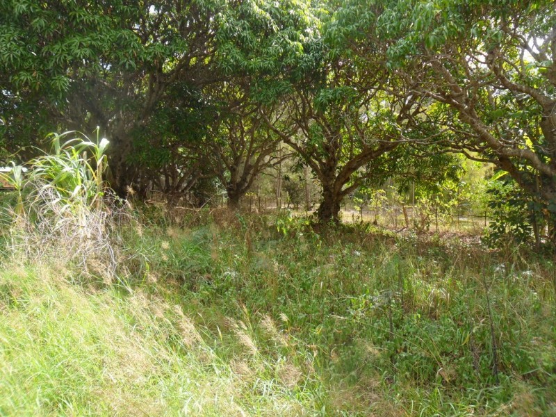 7 Zelma Court, Macleay Island QLD 4184