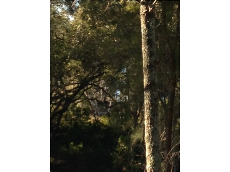 19 Beelong, Macleay Island QLD 4184