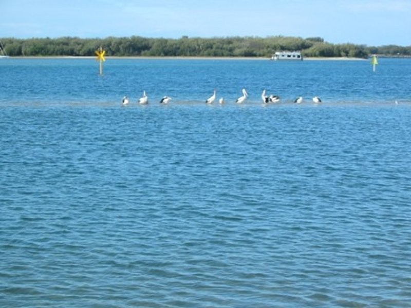 9/216 Marine Parade, Labrador QLD 4215