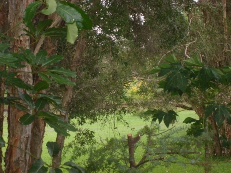 117 Whitsunday Street, Helensvale QLD 4212