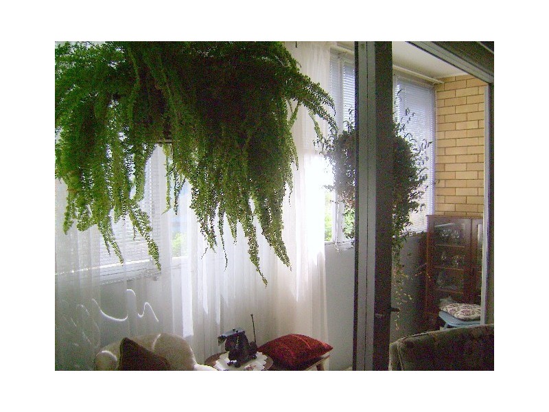 224 Marine Parade (Kimbar), Labrador QLD 4215