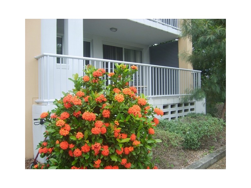 22 Oleander Avenue, Biggera Waters QLD 4216