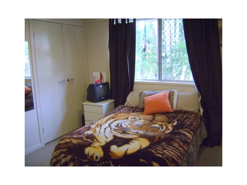 19 Warrener Street, Nerang QLD 4211