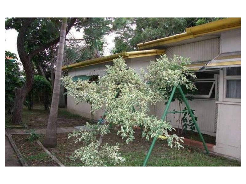 8 Sunshine Court, Labrador QLD 4215