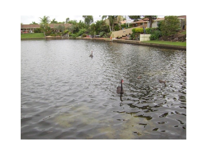 2/18 Marsupial Drive, Coombabah QLD 4216