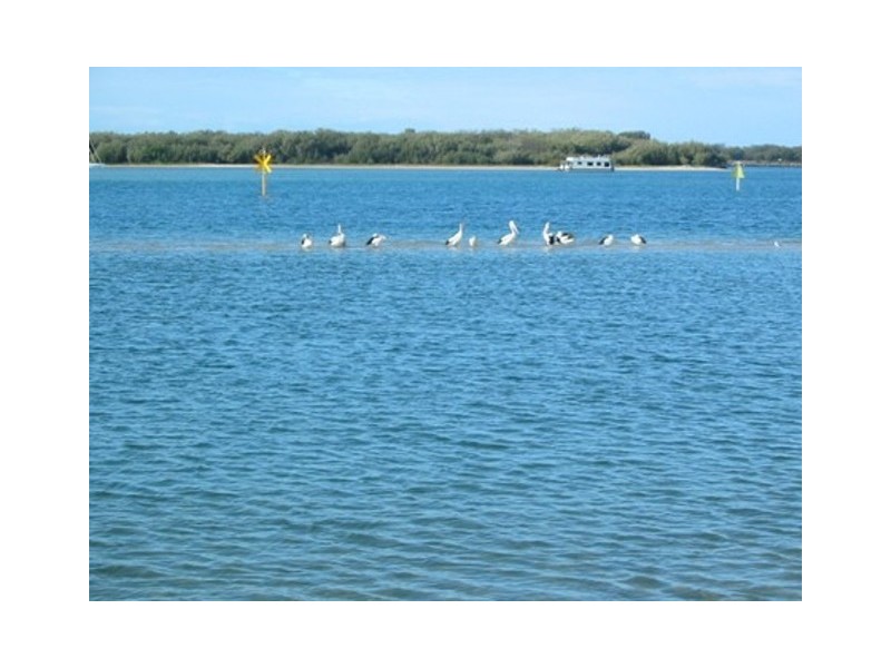 103-105 Frank Street, Labrador QLD 4215