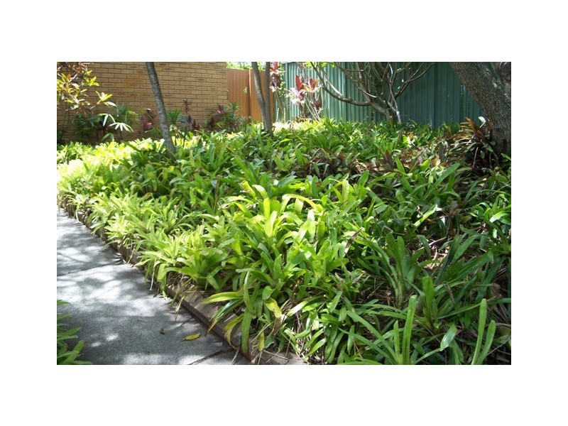 14 Balwyn Court, Arundel QLD 4214