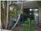 3650 Main Beach Parade, Main Beach QLD 4217