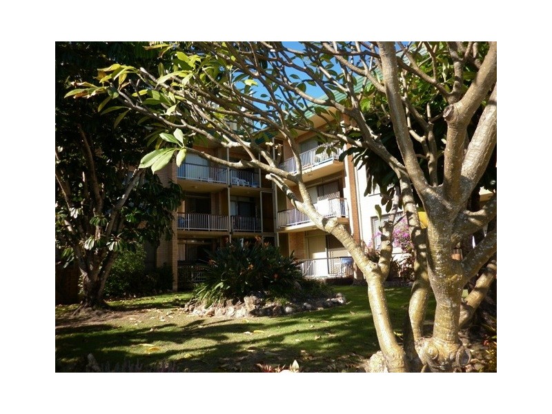 29 Oak Avenue, Surfers Paradise QLD 4217