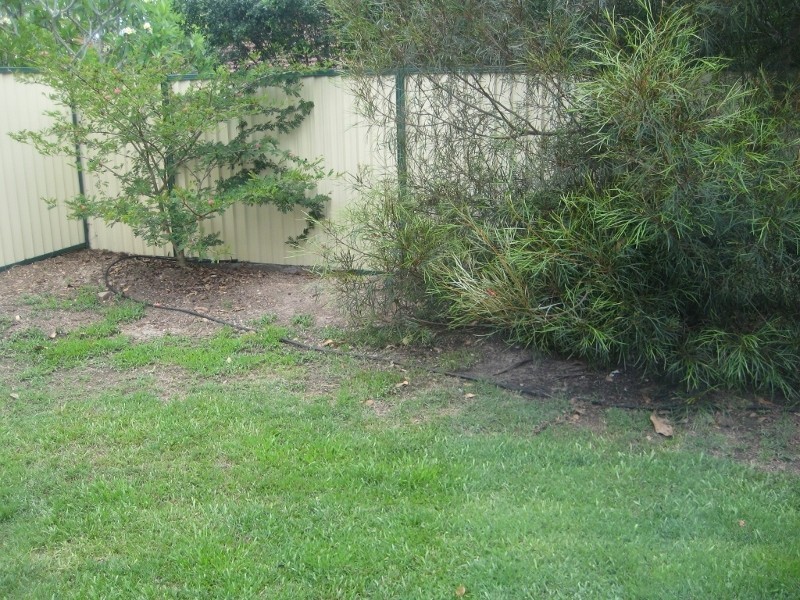 Labrador QLD 4215