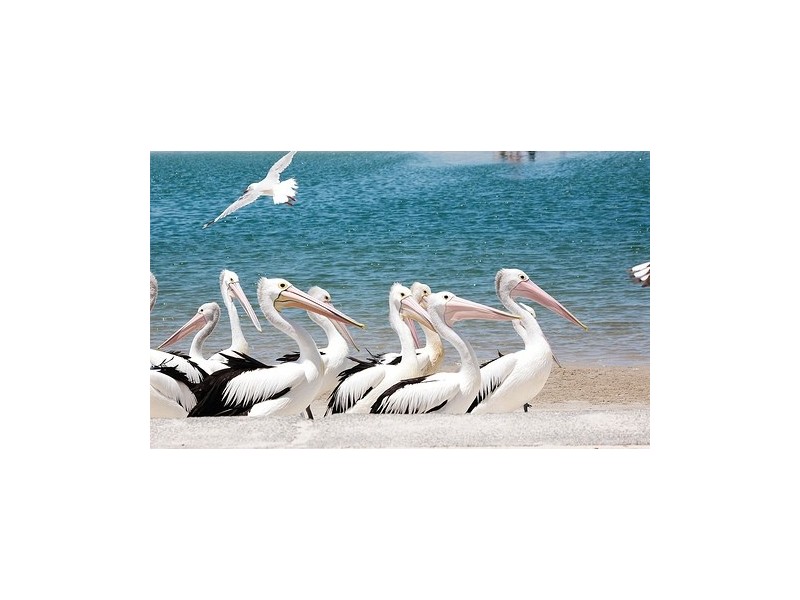 3/183 Muir Street, Labrador QLD 4215