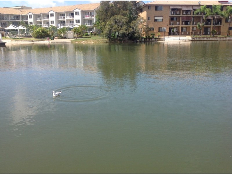 46 Vaggelas Crescent, Biggera Waters QLD 4216