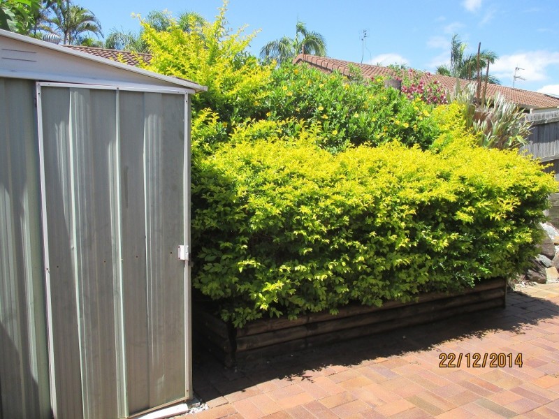 Labrador QLD 4215