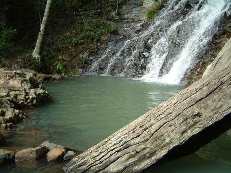 10 Kianga Court, Currumbin Valley QLD 4223