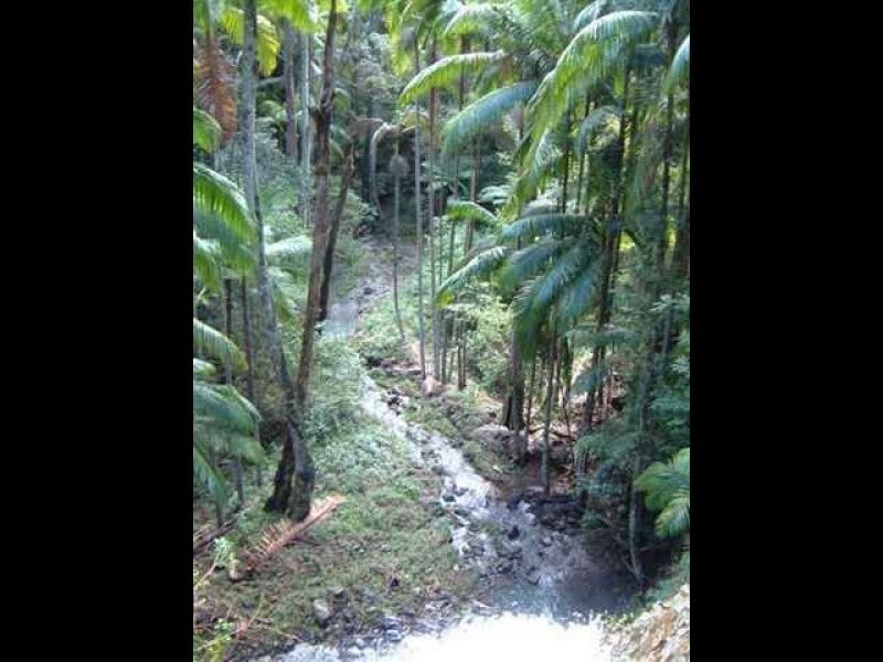 10 Kianga Court, Currumbin Valley QLD 4223