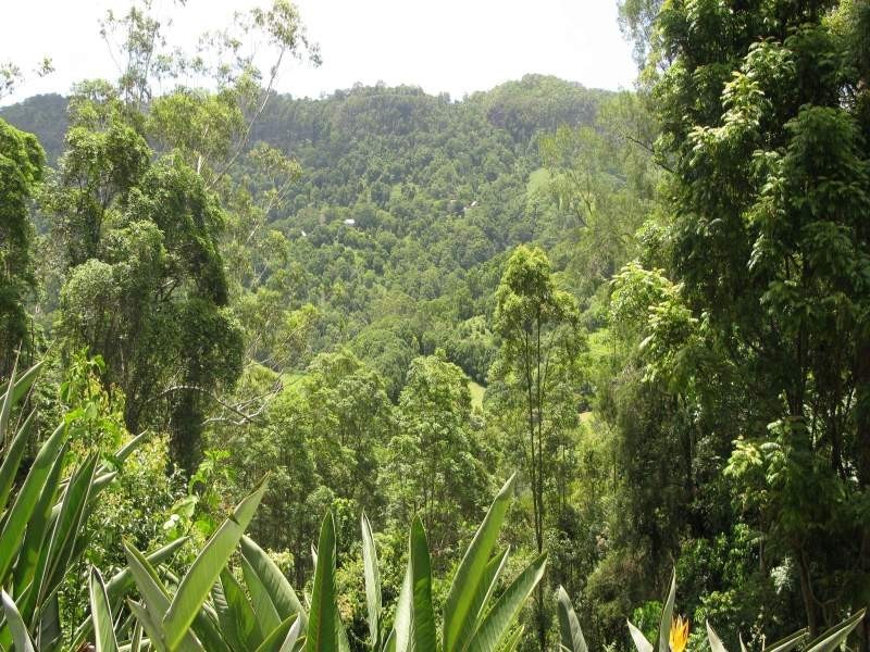 47 Bains Rd, Currumbin Valley QLD 4223