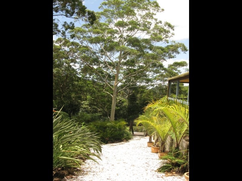 47 Bains Rd, Currumbin Valley QLD 4223
