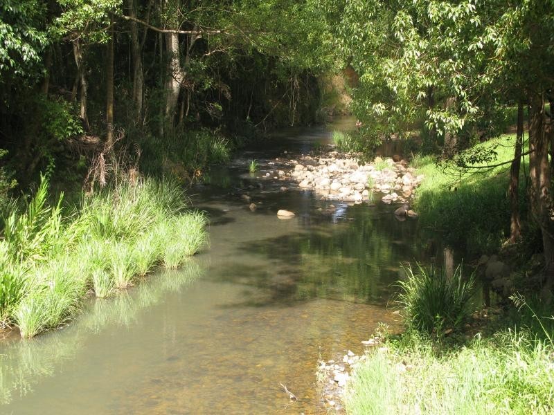 47 Bains Rd, Currumbin Valley QLD 4223