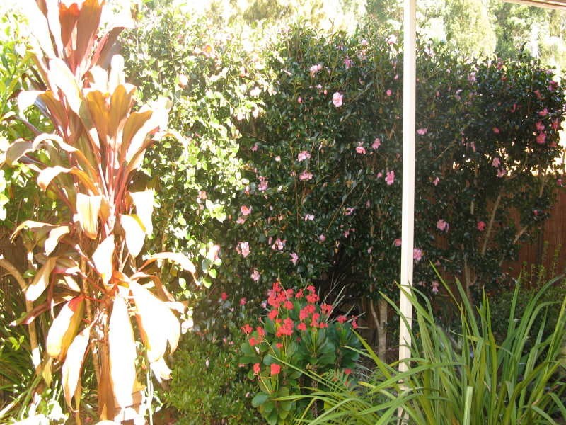 Currumbin Waters QLD 4223