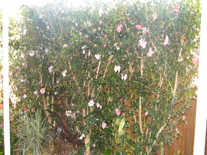 Currumbin Waters QLD 4223