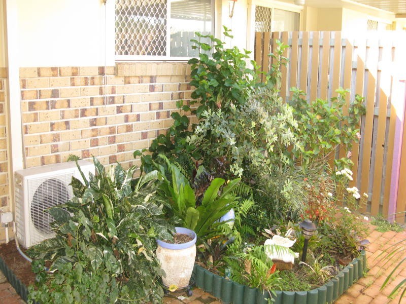 Currumbin Waters QLD 4223