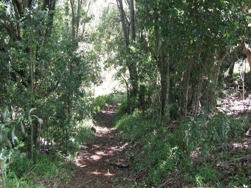 32 Brocks Road, Currumbin Valley QLD 4223
