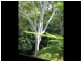 32 Brocks Road, Currumbin Valley QLD 4223
