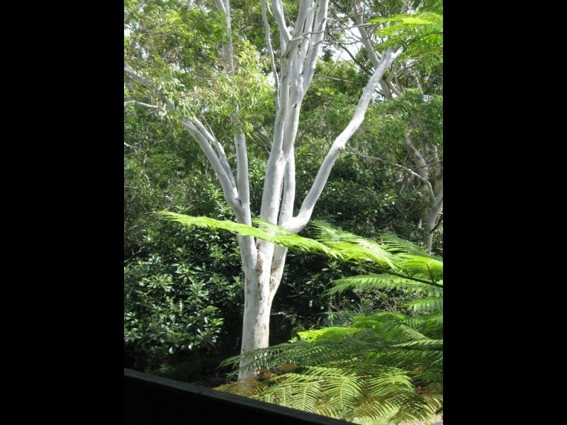 32 Brocks Road, Currumbin Valley QLD 4223