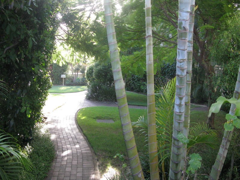 1198 Gold Coast Highway, Palm Beach QLD 4221