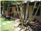 7 Dalwood Court, Tallebudgera QLD 4228