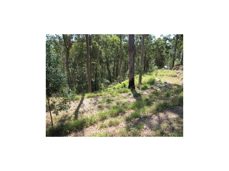 100 Nancol Drive, Tallebudgera Valley QLD 4228