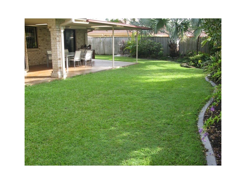 52 Botanical Circuit, Banora Point NSW 2486