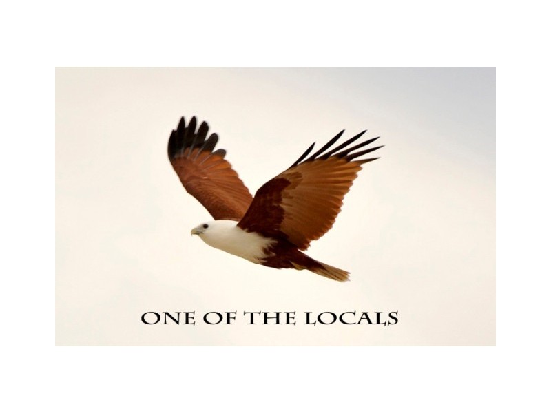 9A/828 Pacific Parade, Currumbin QLD 4223