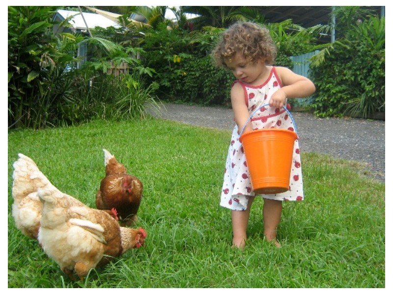 33 Taylors Lane, Currumbin Valley QLD 4223