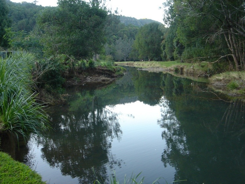 1307 Currumbin Creek Rd, Currumbin Valley QLD 4223